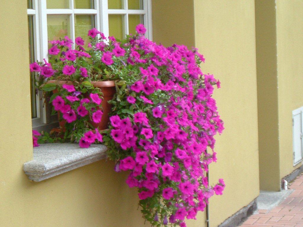 Hotel Del Fiume กันโนบีโอ ภายนอก รูปภาพ